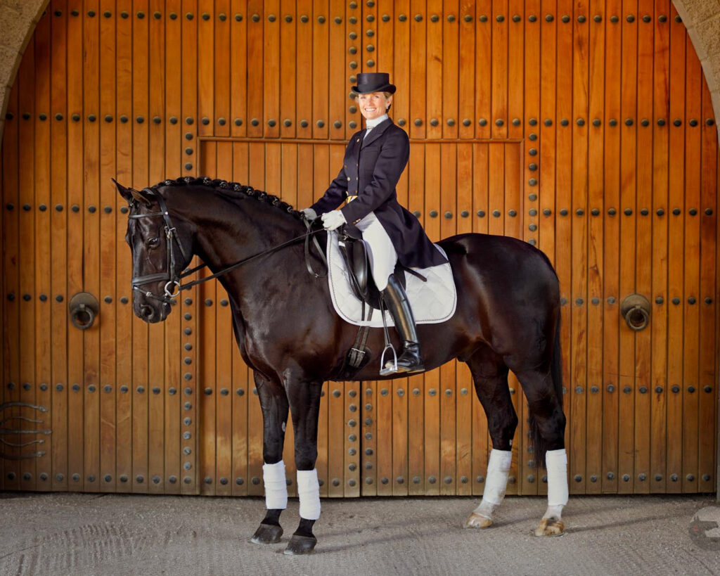 Dressage Horse