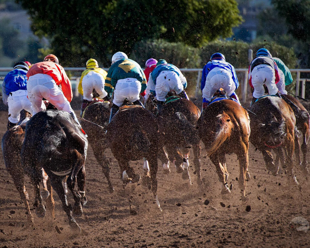 Horse Racing 2