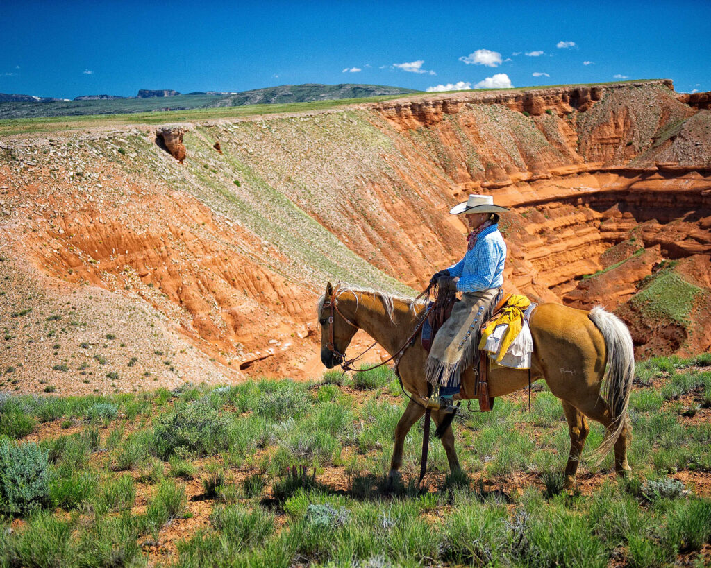 Horse Wyoming 1