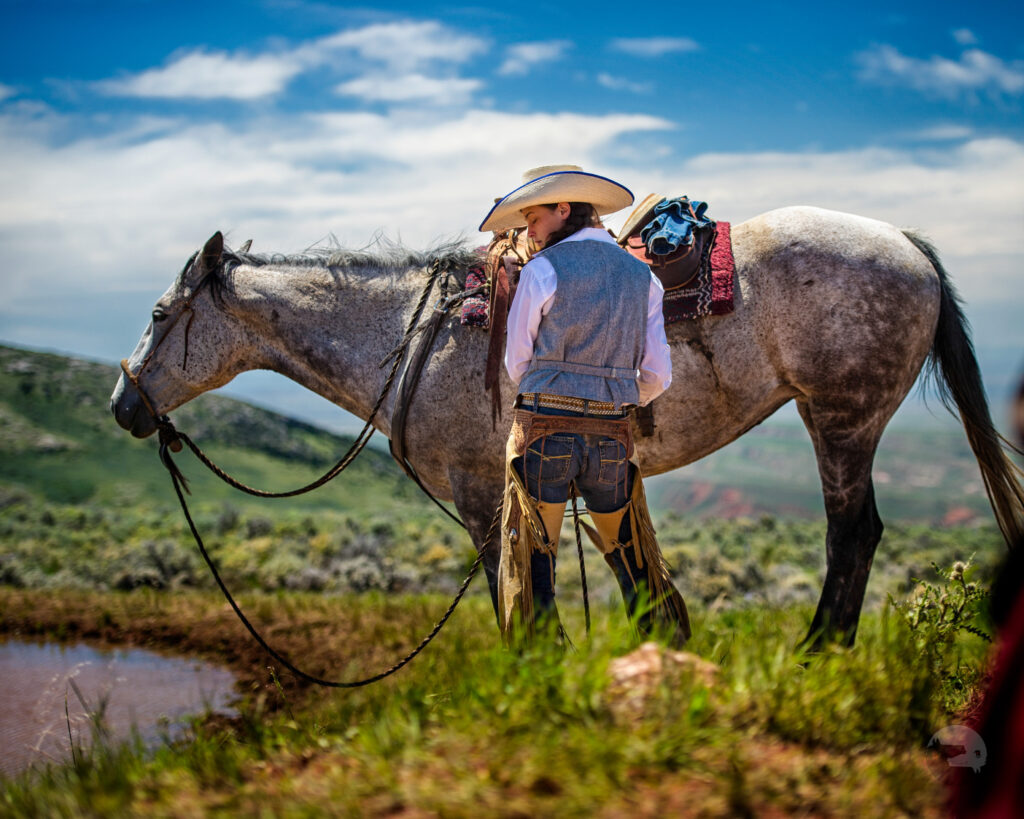 Horse Wyoming 2