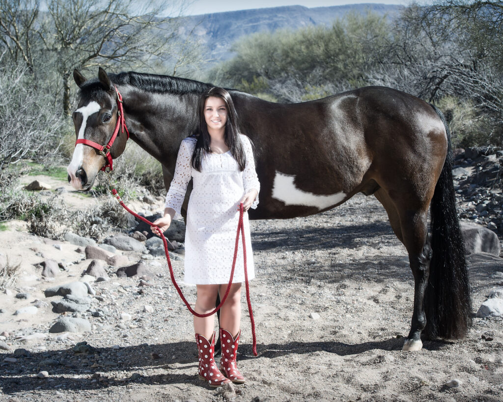 Horse and Rider-11