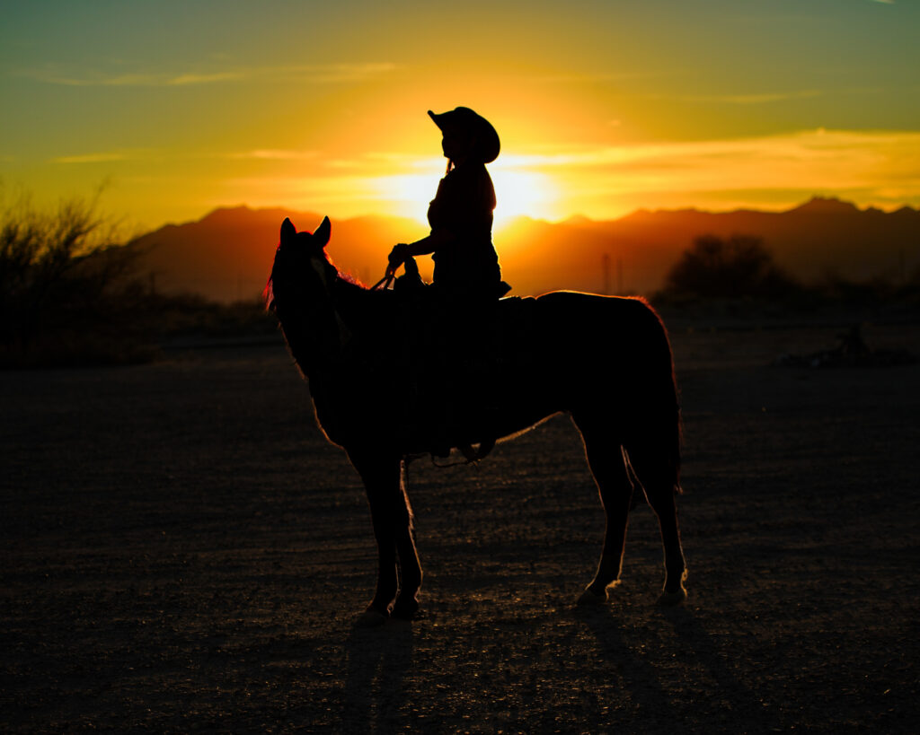 Horse and Rider-13