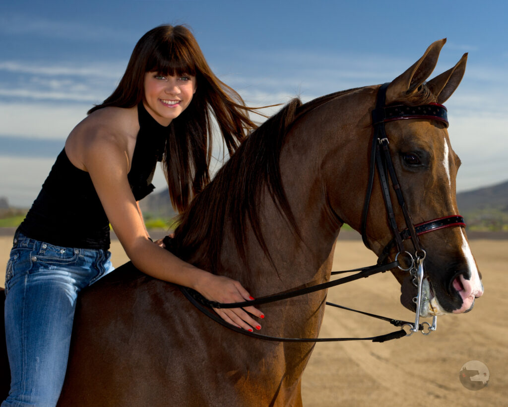Horse and Rider-16