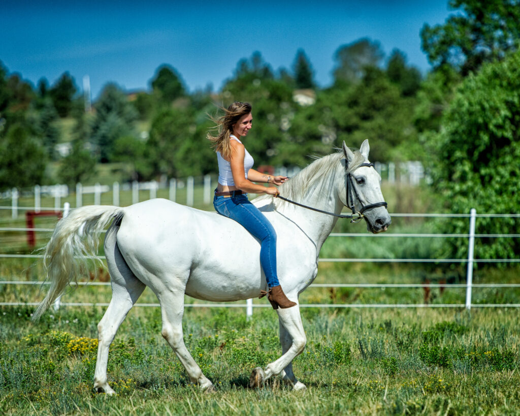 Horse and Rider-17