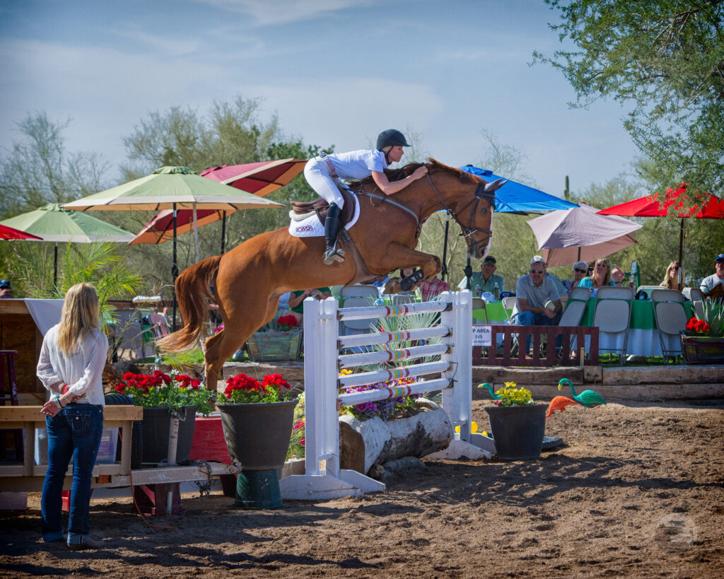 Jumping Horse 2