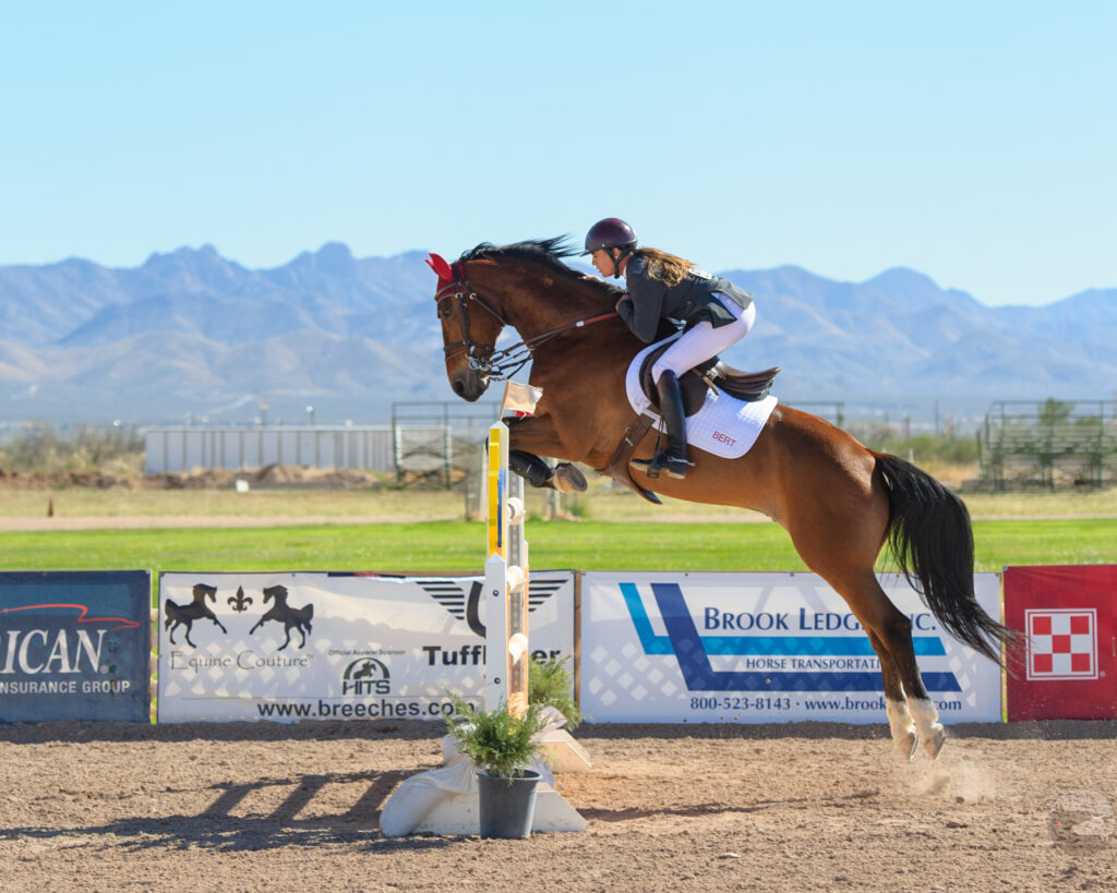 Jumping Horse 3