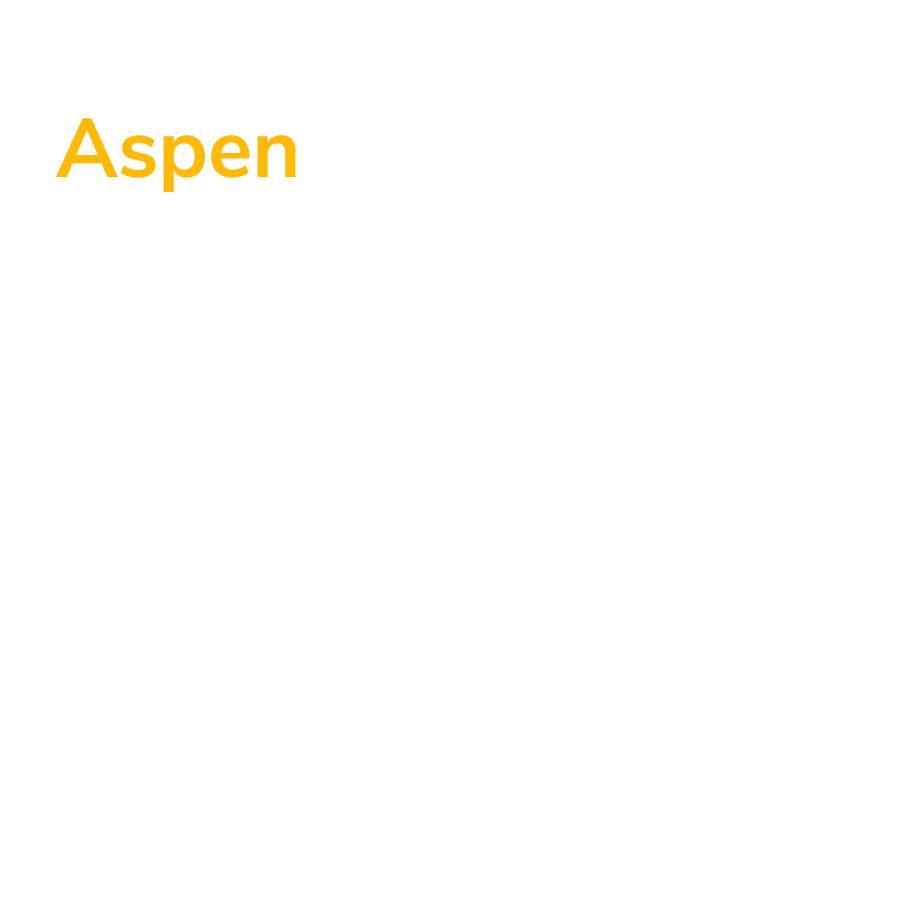 Aspen Testimonial