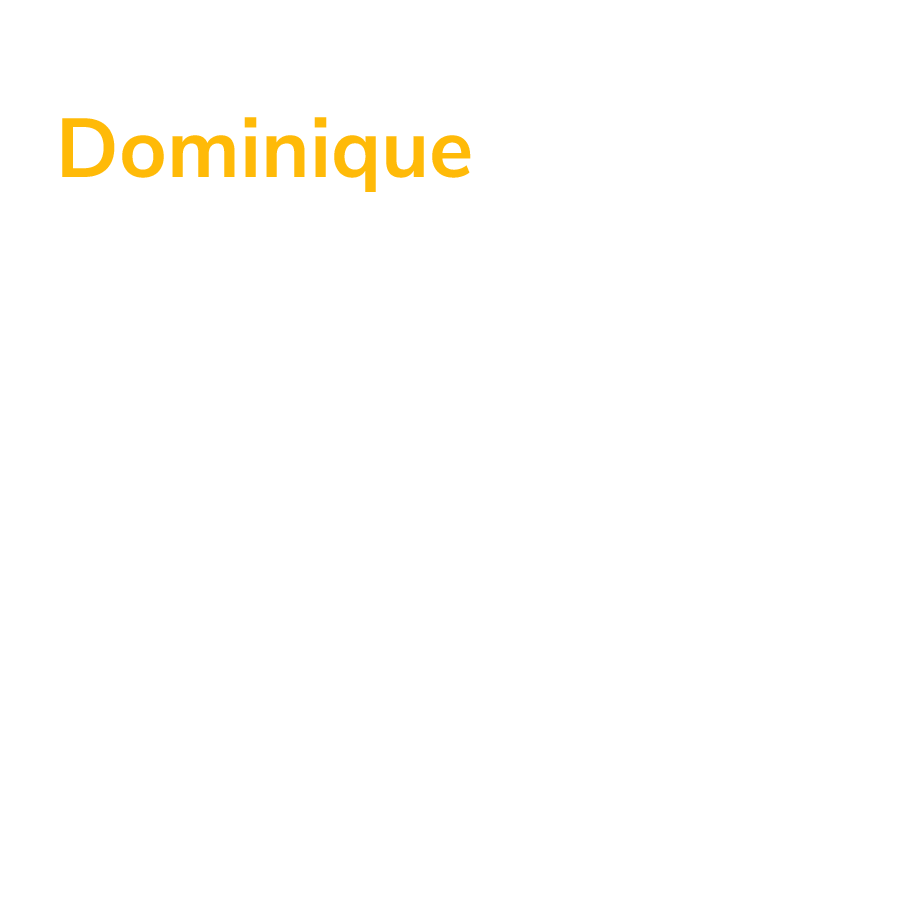 Dominique Testimonial Text
